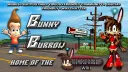 Bunny Burrow splash