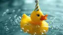 splash