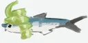 Fish pond splash