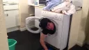 splash