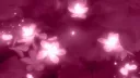 🌺 Castle of Solace Discord server banner