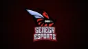 Seneca Esports splash