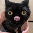 splash
