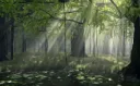 ೃ⁀➷Eridan Kingdom Discord server banner