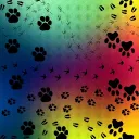 ☽ ๋࣭⭑🐾 𝚄𝚗𝚒𝚟𝚎𝚛𝚜𝚊𝚕 𝙿𝚊𝚠𝚜🐾⭑ ๋࣭☾ Discord server banner