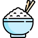 Rice Family splash