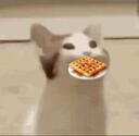 WAFFLERS Banner