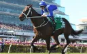 Trading The Races splash