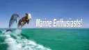โญ Marine Enthusiasts ๐ฆ Discord server banner