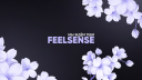 FEELSENSE
