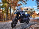 r/Triumph splash