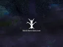 Blackthorn splash
