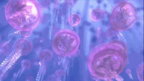 the grotto • 🌊˖°𓇼⋆🐋🐚 𓈒𓏸 splash
