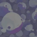 splash