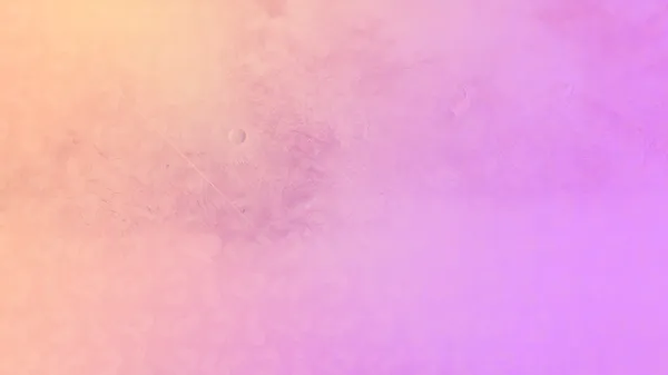 splash