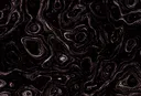 SEARING BLUES splash