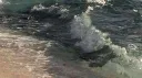 ꒰ ✧ ꒱ ﹒ CELESTIA’S ﹒ DOMAIN ﹒ ꕀ splash