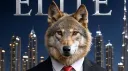 INSIDERS splash