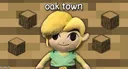 oak town splash