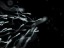 [𝓕.𝓤] 𝓕𝓻𝓮𝓪𝓴𝔂 𝓤𝓽𝓸𝓹𝓲𝓪 splash