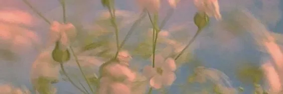 splash