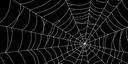 La Araña  Banner