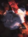 splash