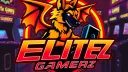 Elite Gamers in training splash