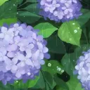 Poets Paws Discord server banner