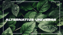 Alternative Universe