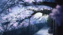 𝑩𝖆𝖘𝖊𝖒𝖊𝖓𝖙 𝑮𝖆𝖓𝖌 18+ Discord server banner