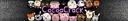 🐷CocoaCrack's Wonderland! splash