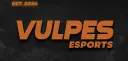 Vulpes Esports splash