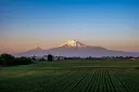Armenia • Social Discord server banner