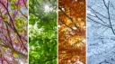 ✦SOLSTICE✦ Discord server banner