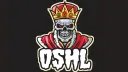 Online Sports Hockey League splash