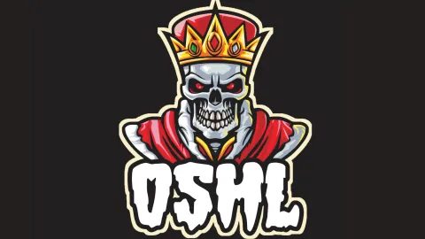 Online Sports Hockey League splash