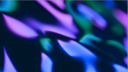 ExultantHarmony