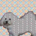Kerp Island splash