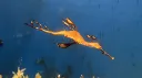 ゲーム、雑談等 splash