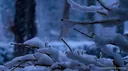 CRYSTAL CLEAR Discord server banner