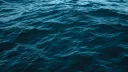 splash
