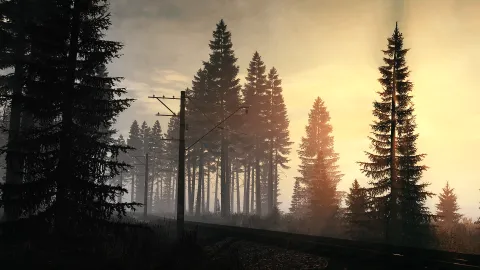 BLANKSOFTWARE - DayZ Mods splash