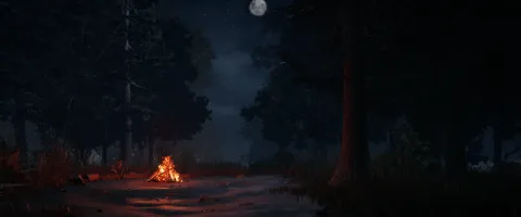 Voices in the Fog splash