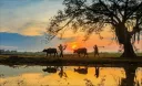 Desi Punjab (Pakistani, Indian) Discord server banner