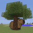 CapyCraft Banner