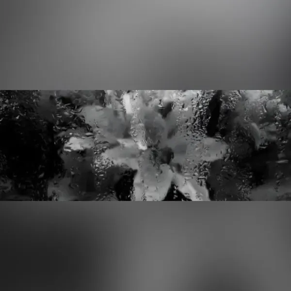 splash