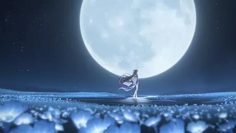 Lugu - Comunidade splash