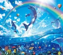 splash