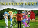 The Bandicoot Dairy splash